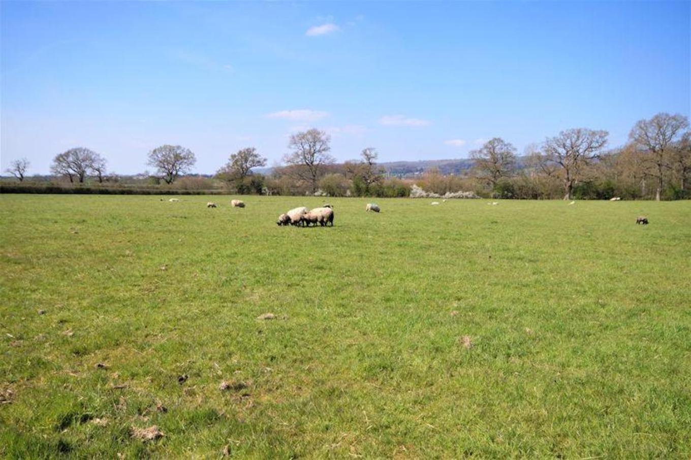 Luxury Barn Conversion Wells Esterno foto